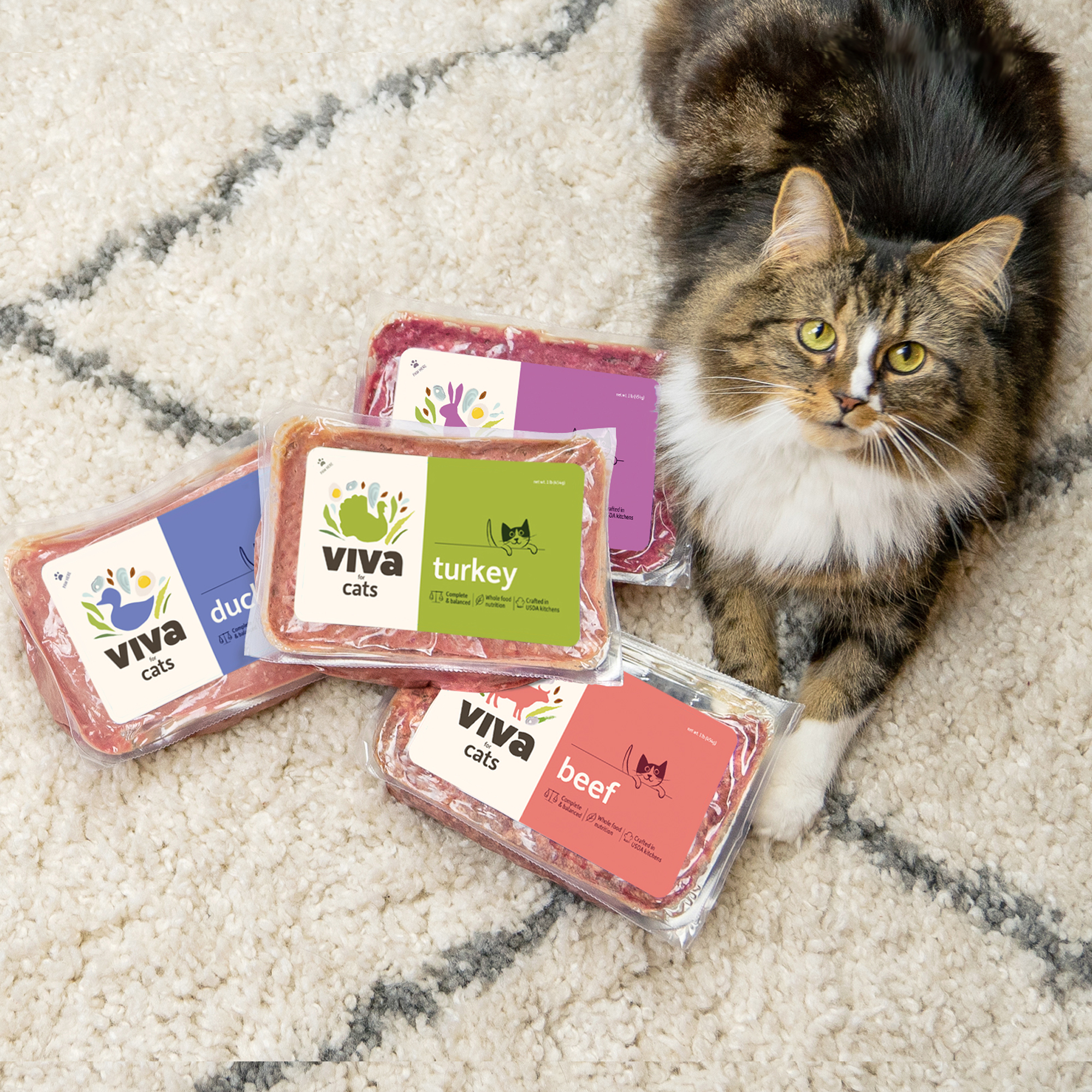 viva raw food for cats