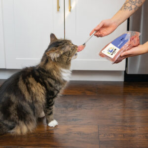 viva raw food for cats